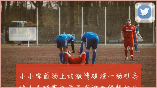 小小绿茵场上的激情碰撞一场难忘的小足球赛记录了友谊与梦想的交汇