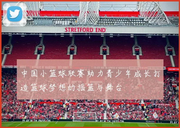 中国小篮球联赛助力青少年成长打造篮球梦想的摇篮与舞台