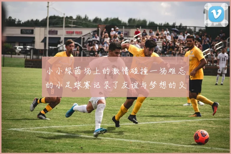 小小绿茵场上的激情碰撞一场难忘的小足球赛记录了友谊与梦想的交汇