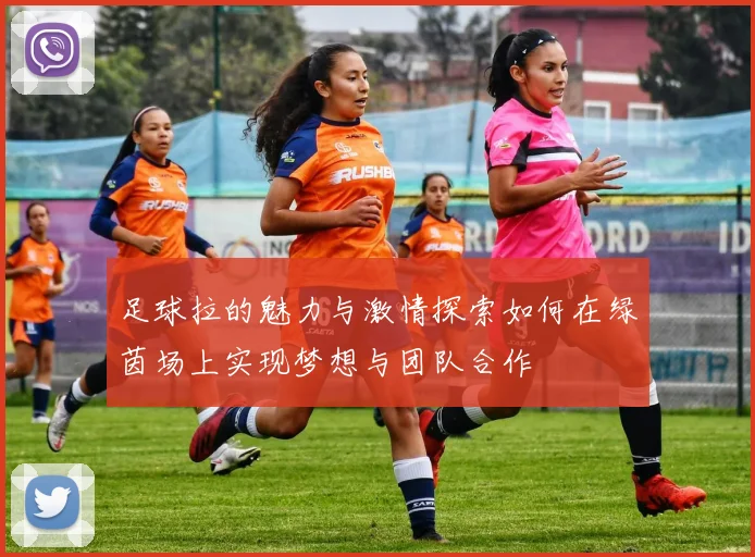 足球拉的魅力与激情探索如何在绿茵场上实现梦想与团队合作