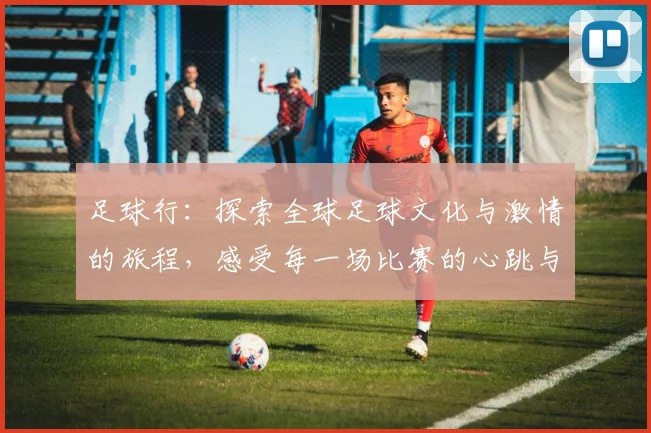 足球行：探索全球足球文化与激情的旅程，感受每一场比赛的心跳与梦想