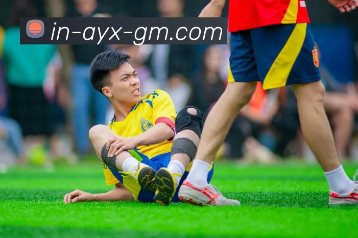 爱游戏官网服务体系